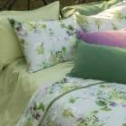 CANESTRI Cushion
